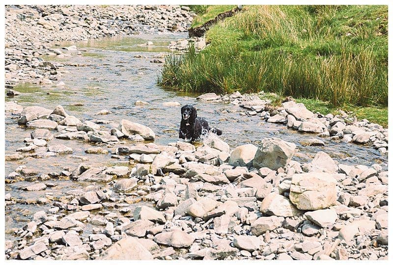 Cautley,Cautley Spout,Cumbria,Joanne Withers Photography,Landscape Photography,Trekking,Walking,Waterfall,Yorkshire Dales, Pet friendly Cumbria