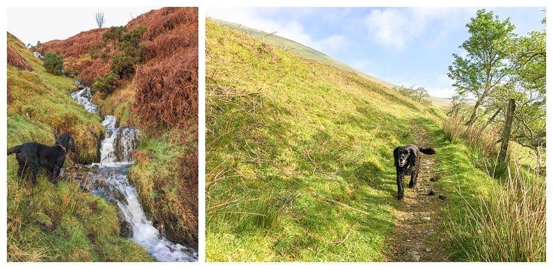 Cumbria,Joanne Withers Photography,St Marks Cautley,St Marks Stays,Yorkshire Dales,iPhone Images, Pet friendly Cumbria