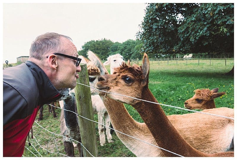 2017-08-09_0020.jpg Why Not Alpacas